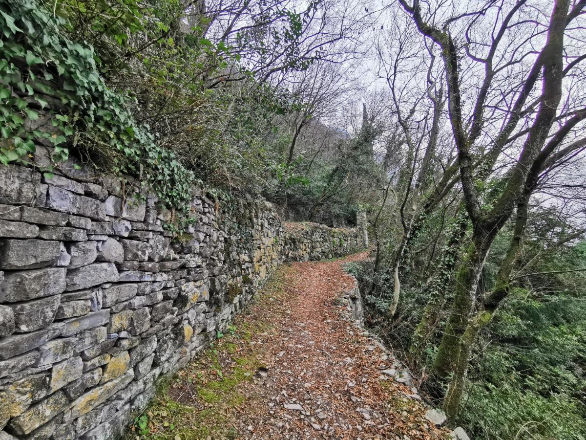 Near Villa Monastero And Castello Di Vezio Varenna Dış mekan fotoğraf